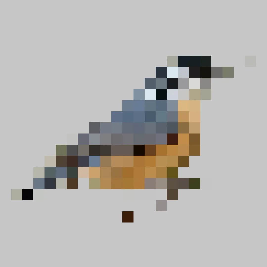 Puzzle image 6