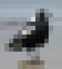 Puzzle image 7