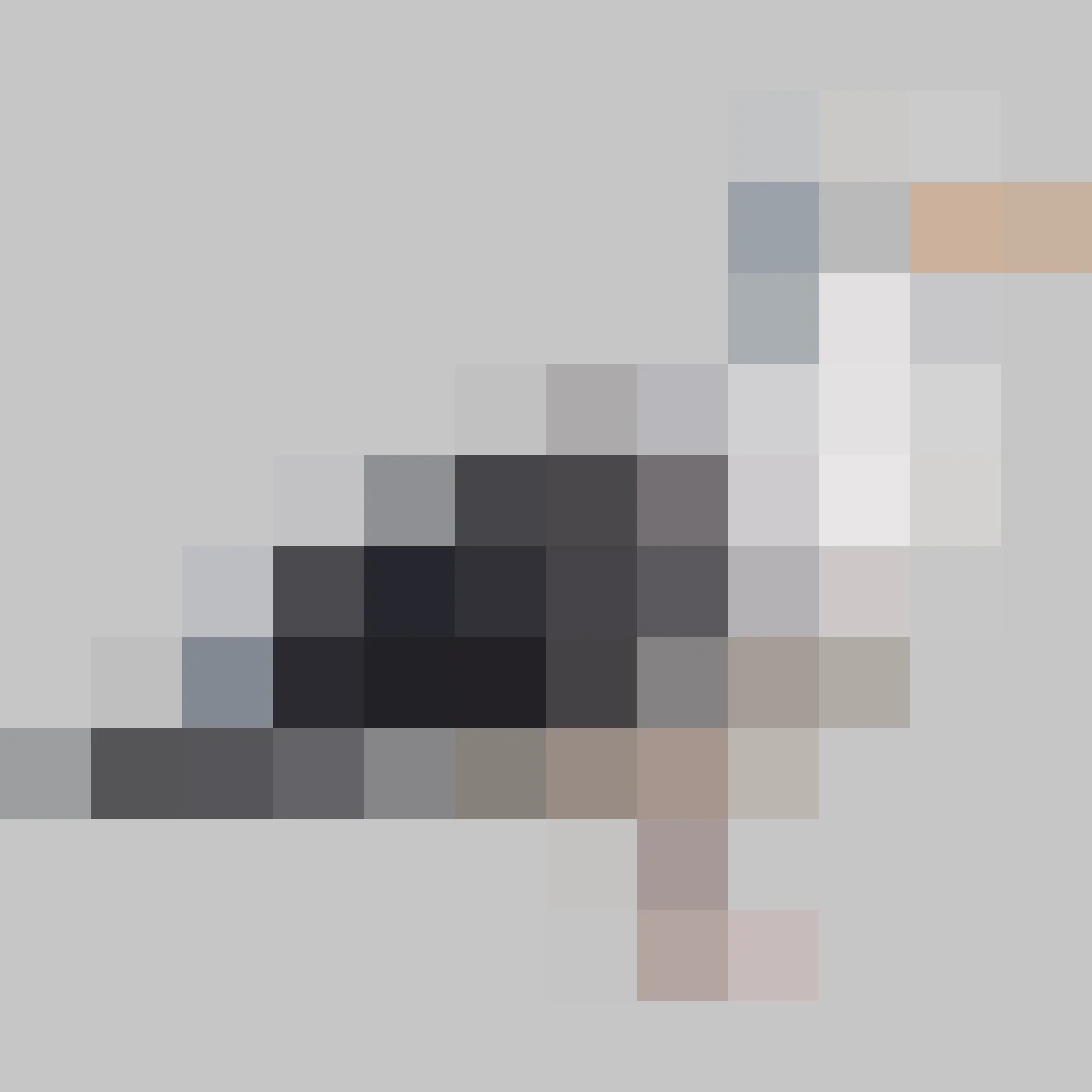 Puzzle image 5