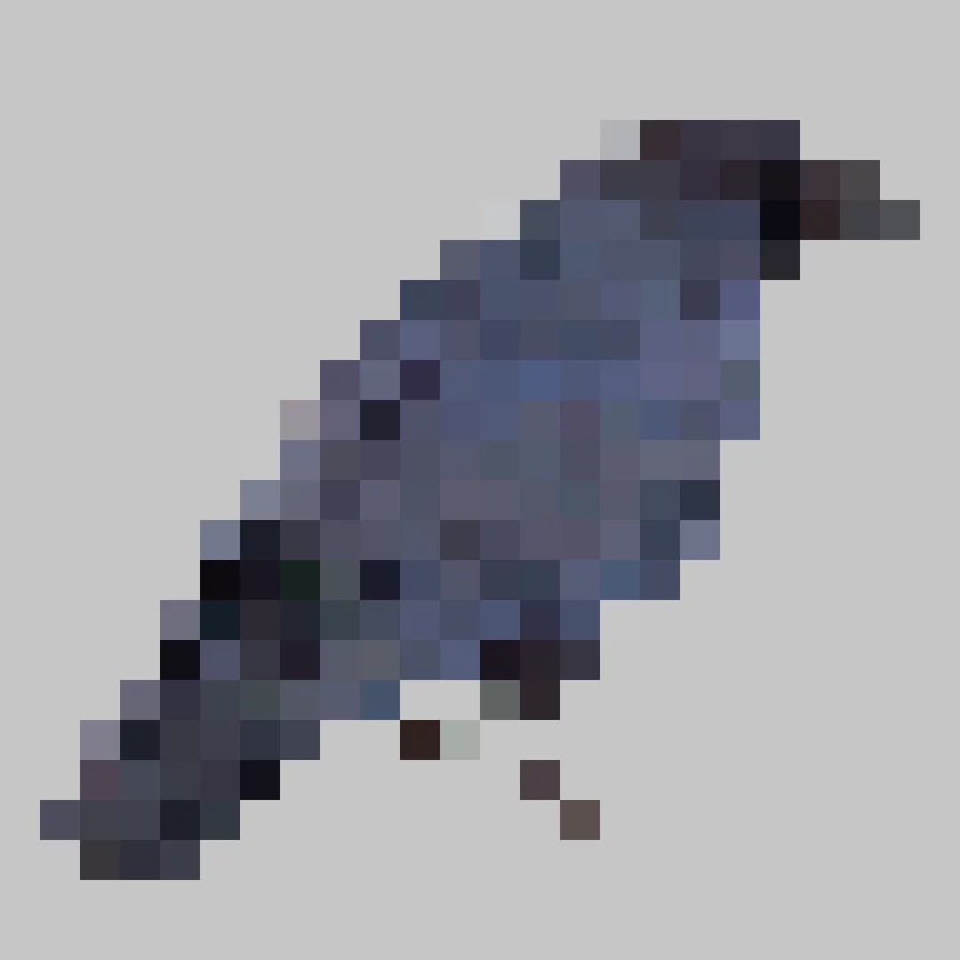 Puzzle image 8
