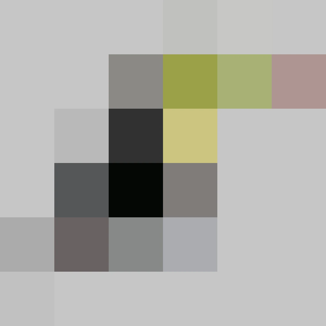 Puzzle image 3