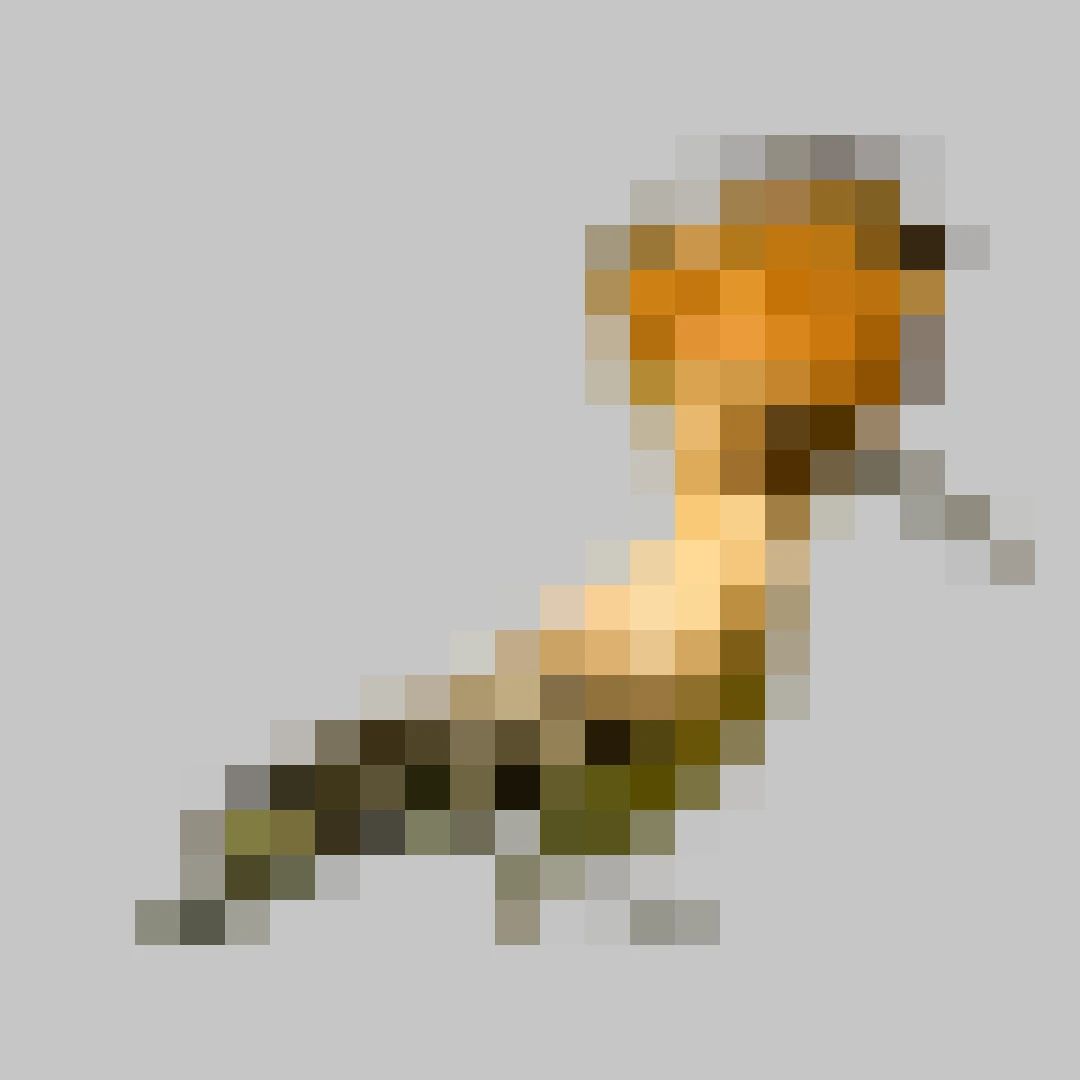 Puzzle image 9