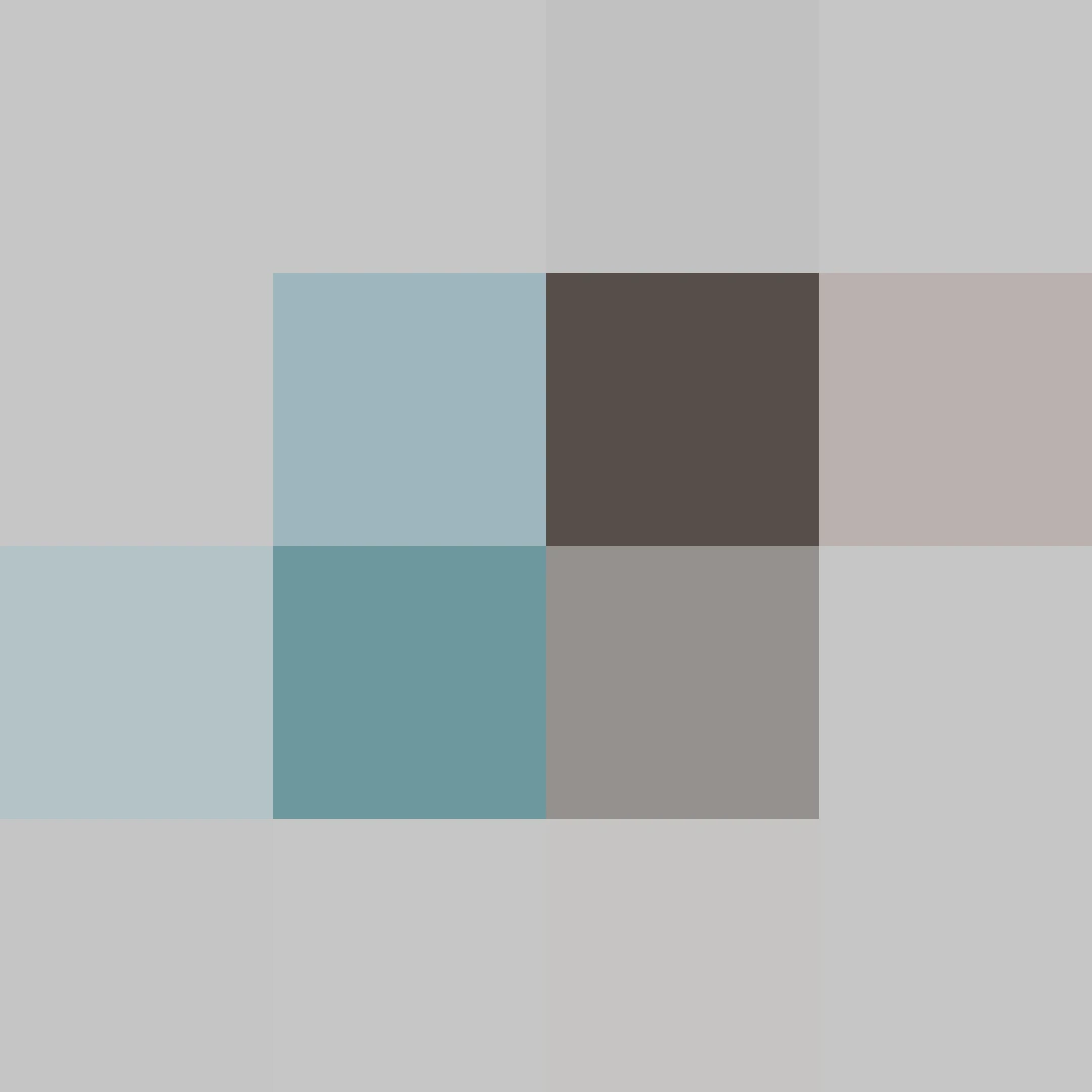Puzzle image 3