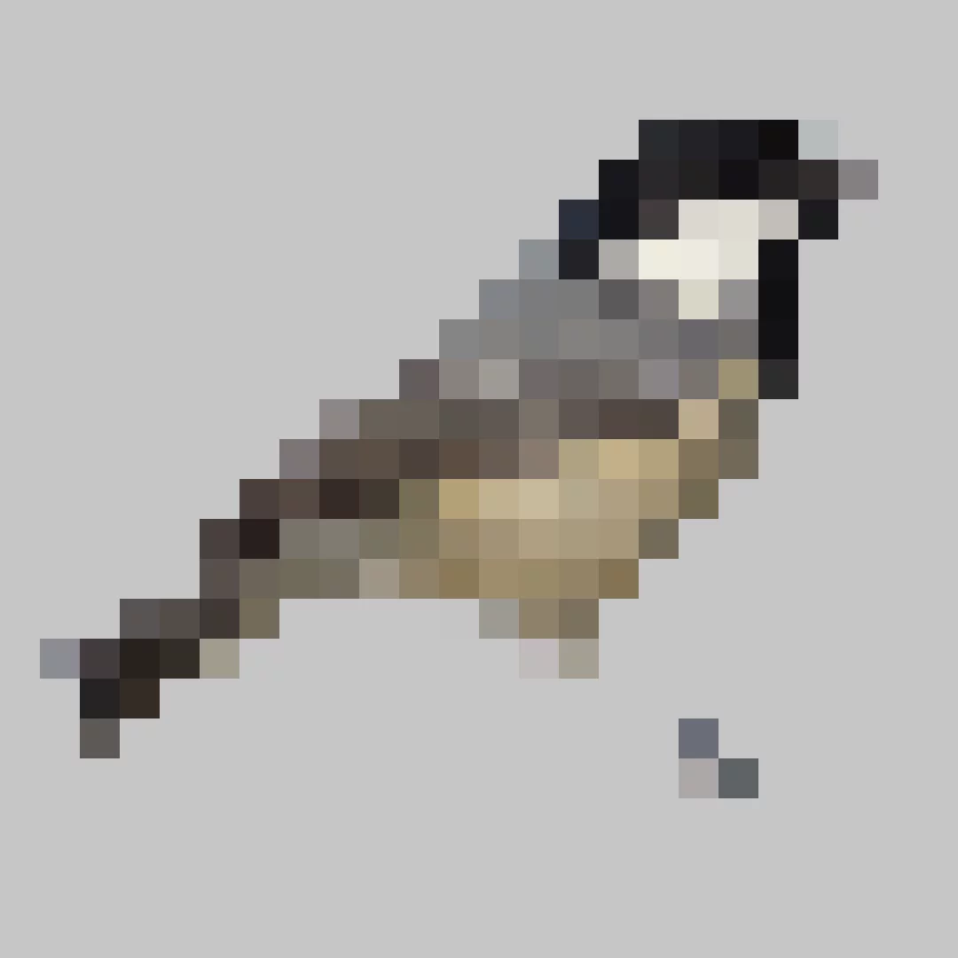 Puzzle image 7