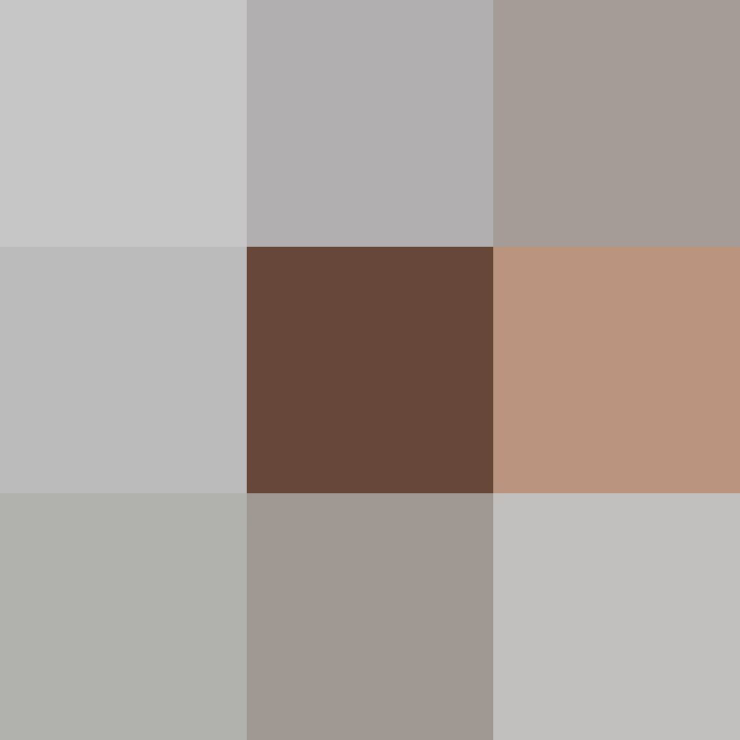 Puzzle image 1