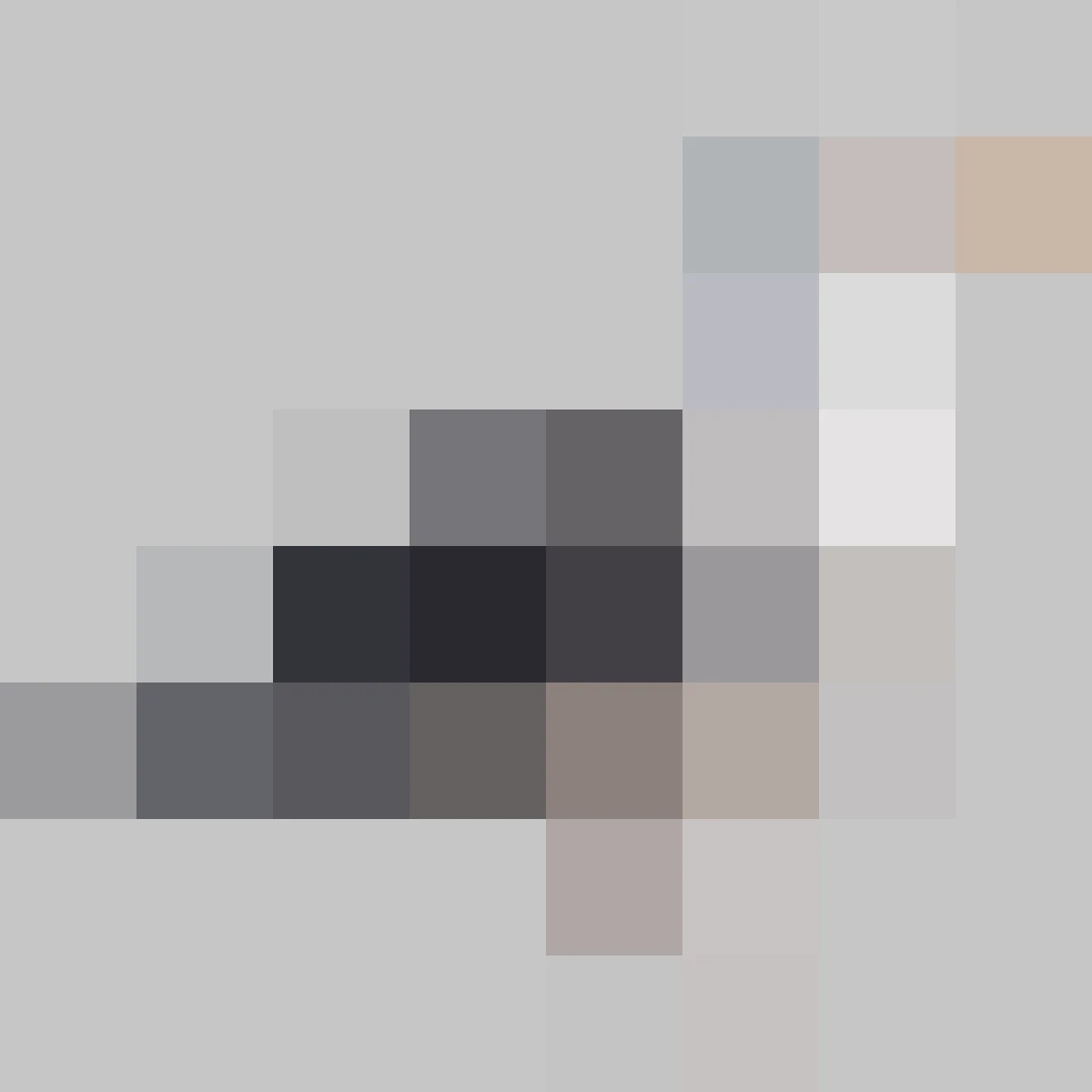 Puzzle image 4