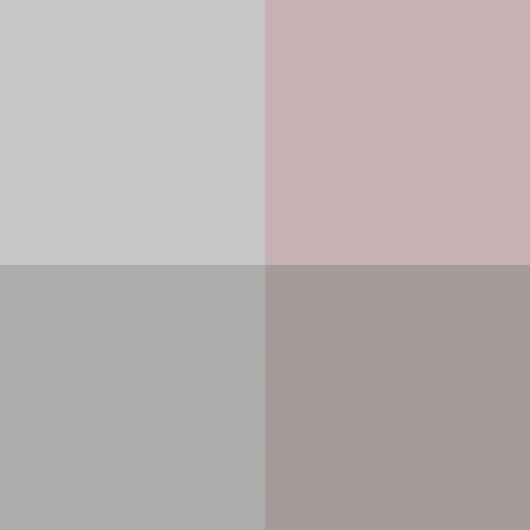 Puzzle image 1