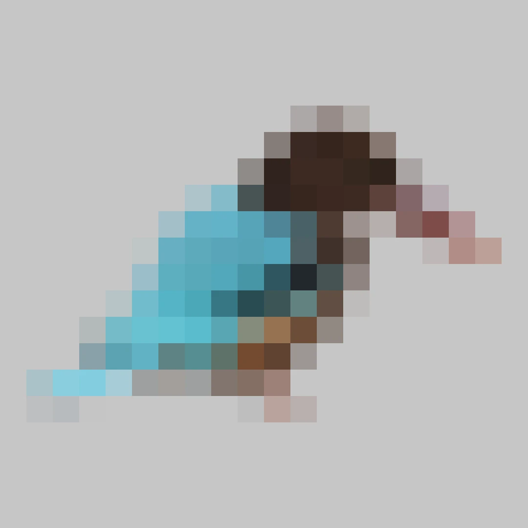 Puzzle image 8