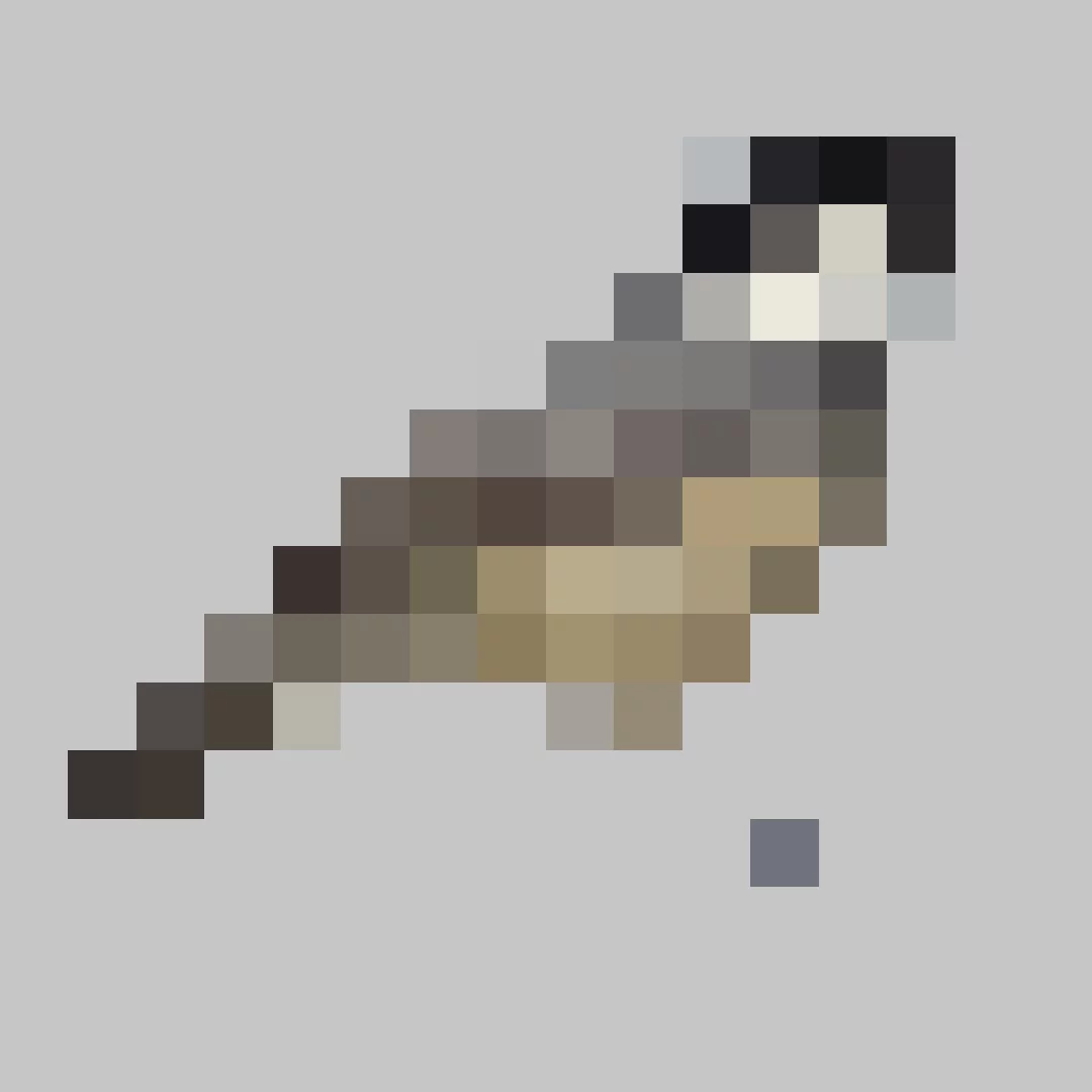Puzzle image 6