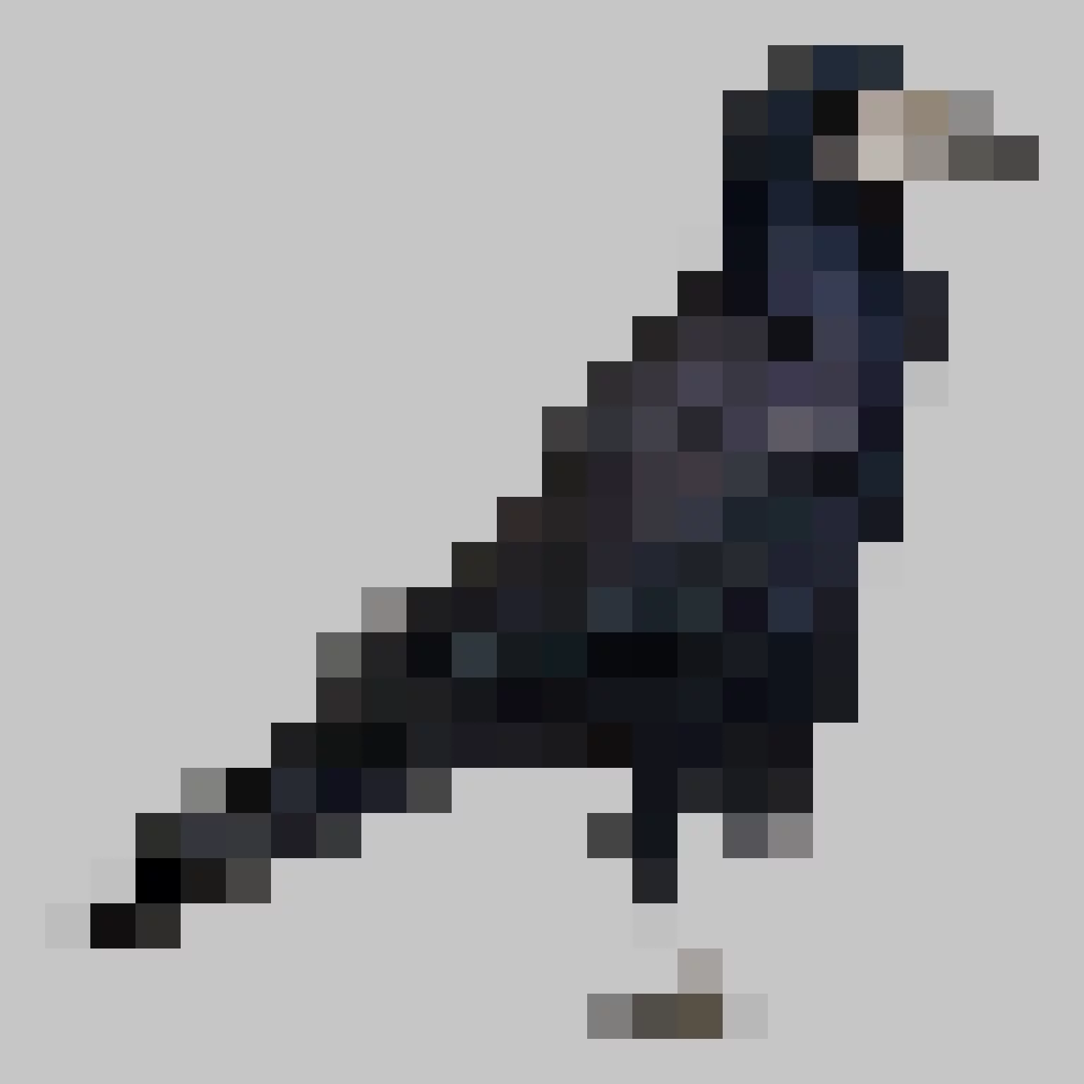 Puzzle image 8