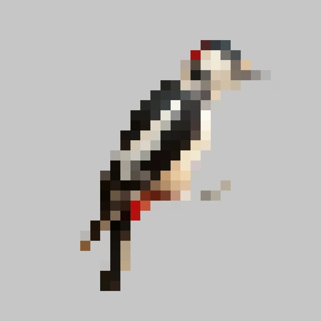 Puzzle image 8