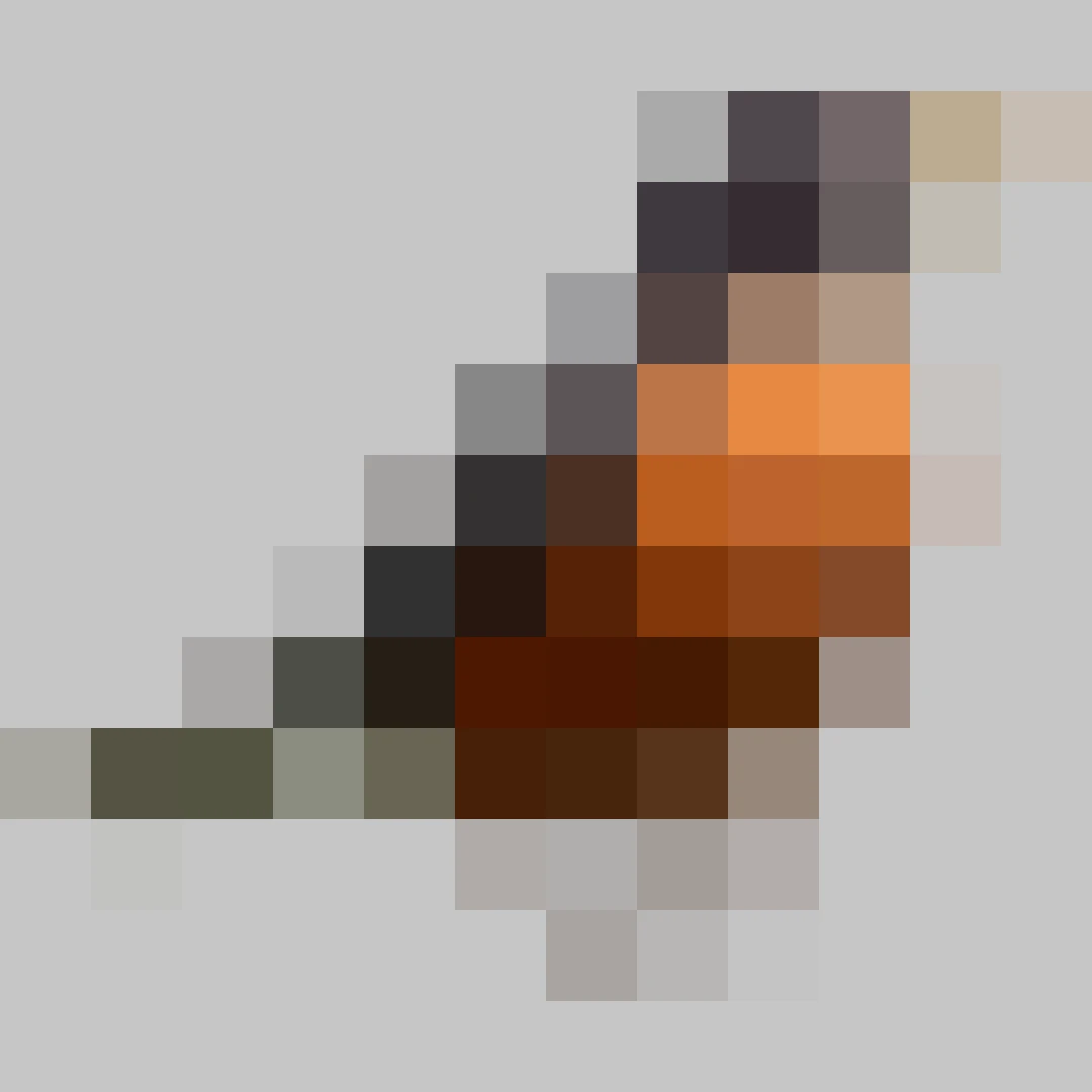 Puzzle image 5