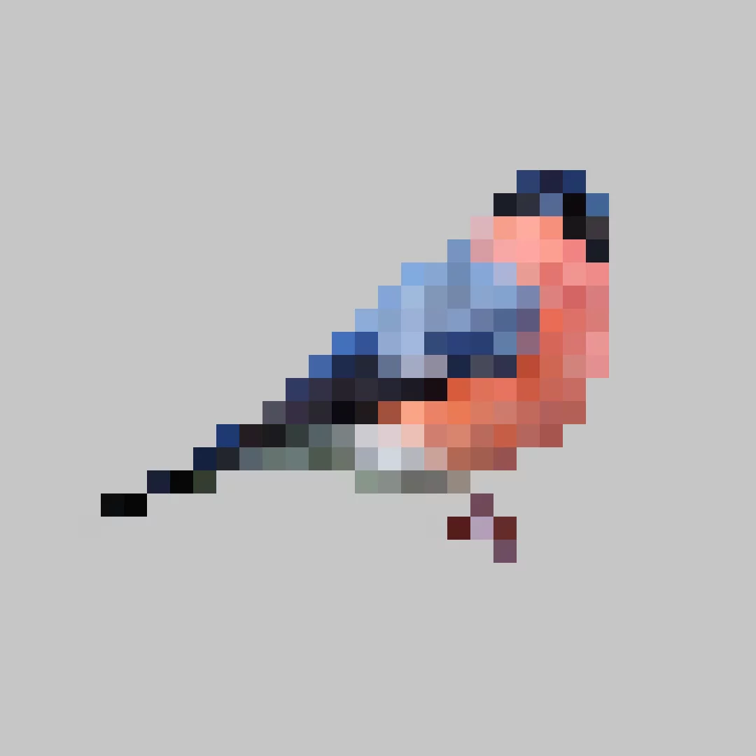 Puzzle image 5