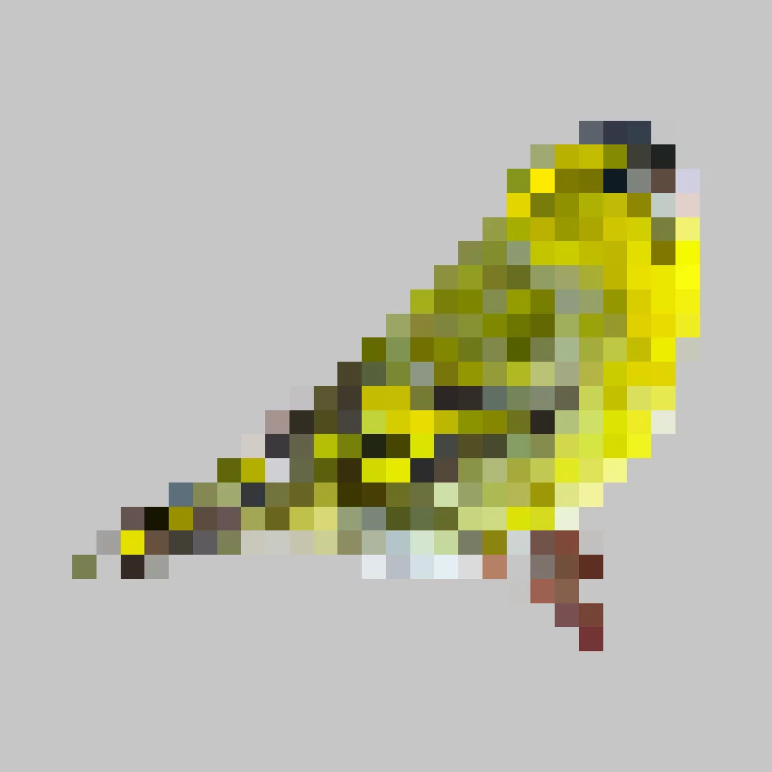 Puzzle image 10