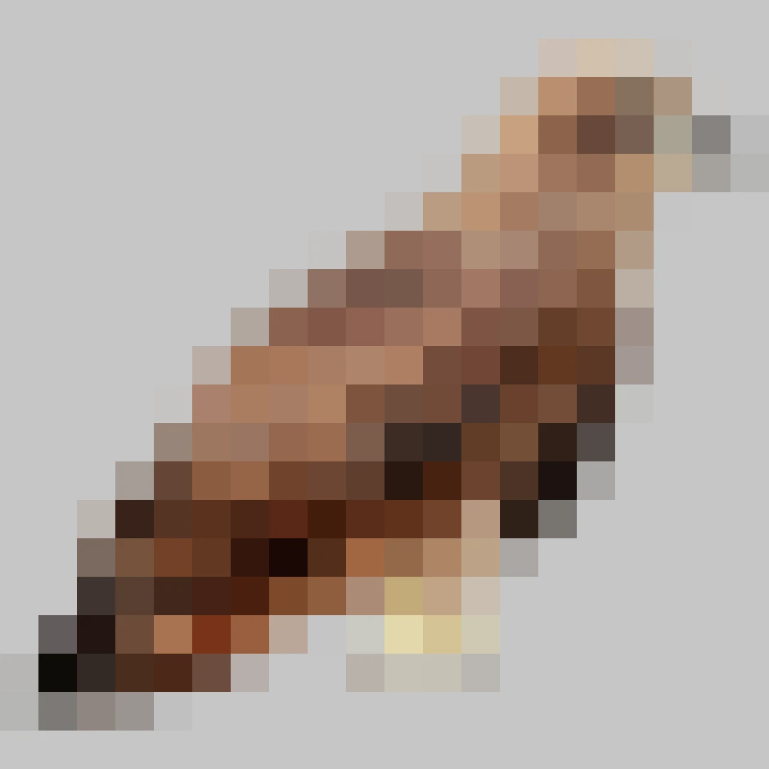 Puzzle image 9