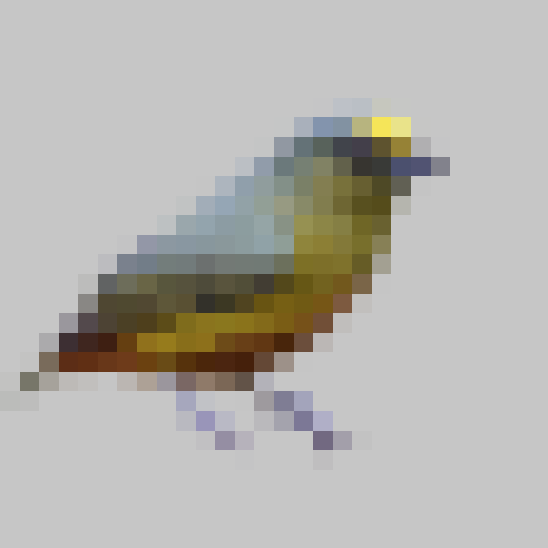 Puzzle image 11