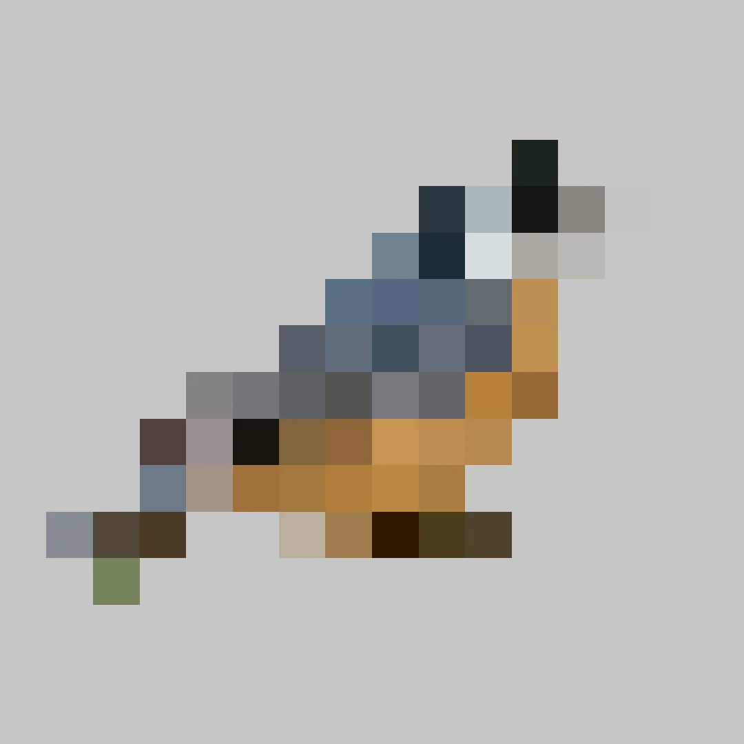 Puzzle image 5