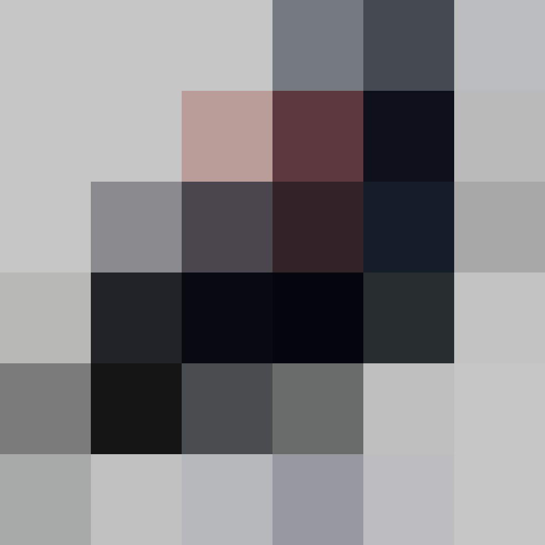 Puzzle image 5
