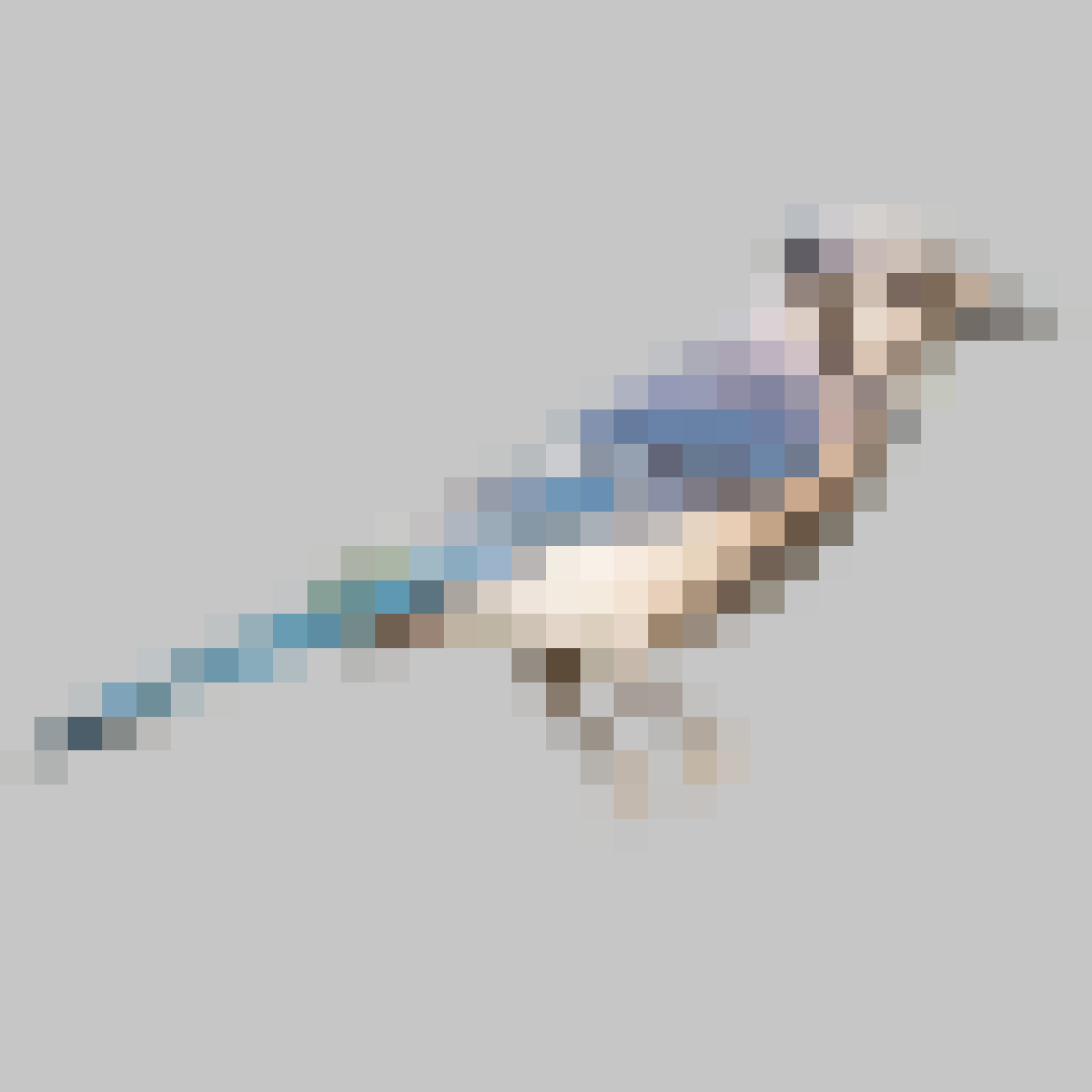 Puzzle image 12