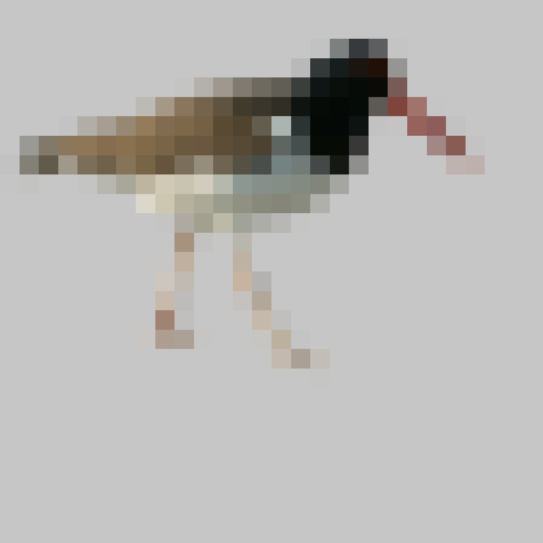 Puzzle image 11