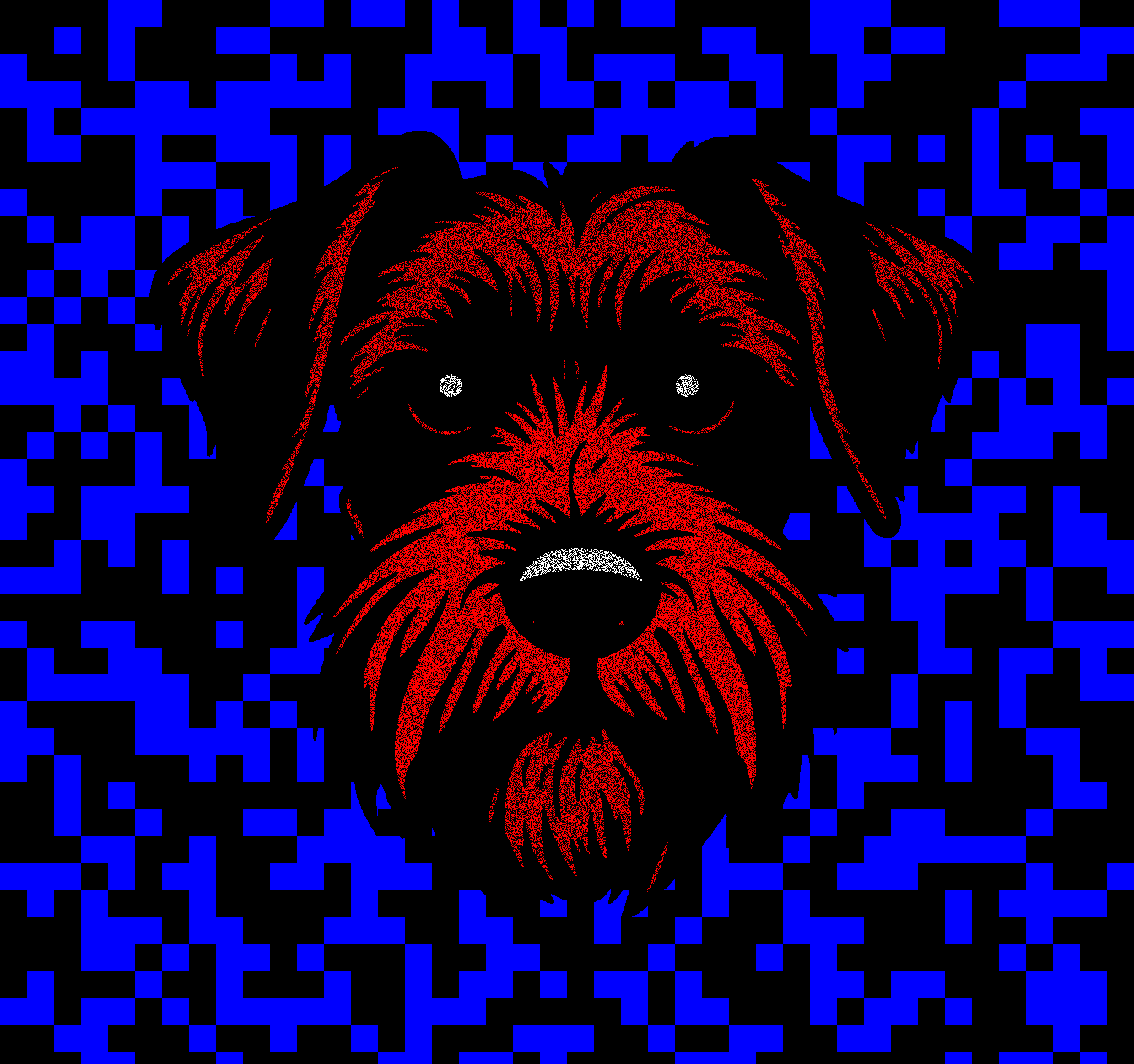 Schnauzer