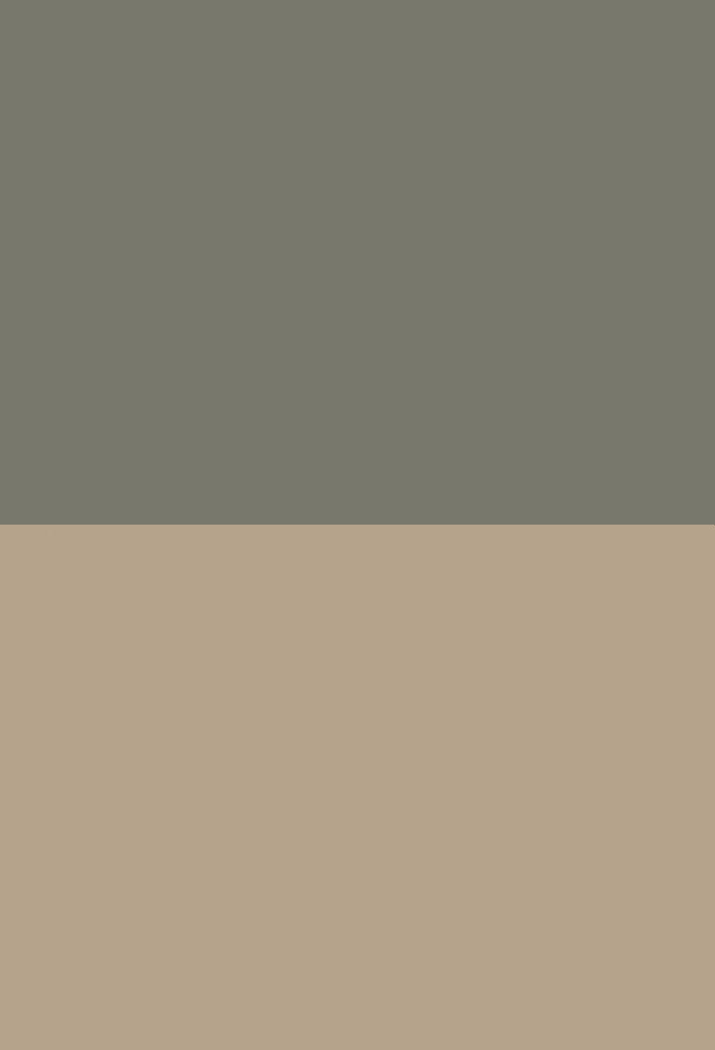 Puzzle image 1