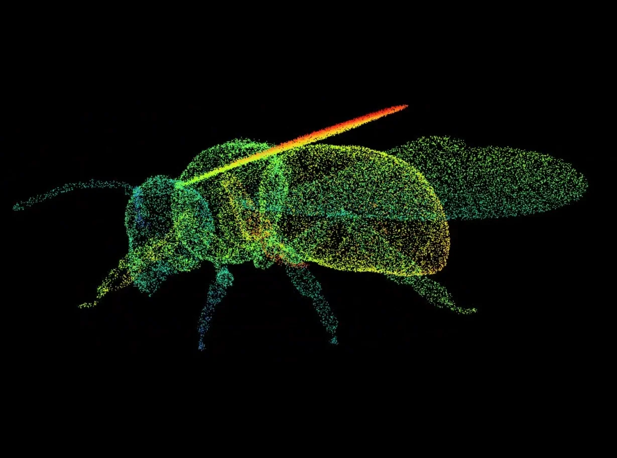 bee