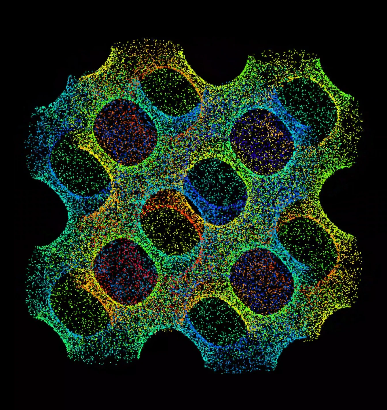 lattice