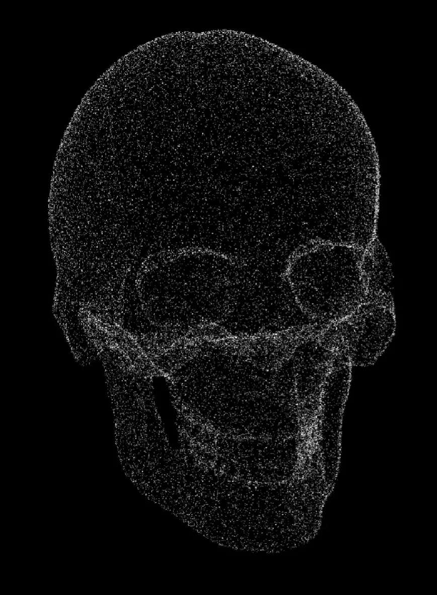 skull